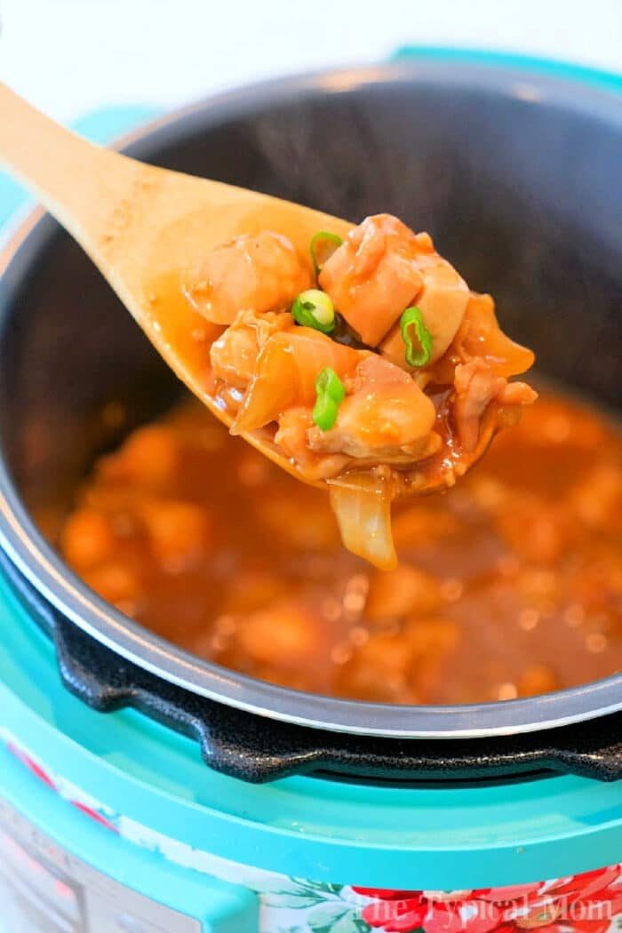 A spoonful of spicy chicken stew with green onions above a blue pot, solid for warming up with one of those hearty January instant pot recipes.