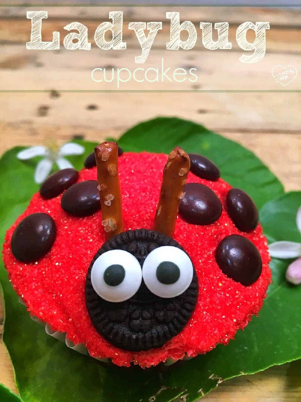 Ladybug Cupcakes