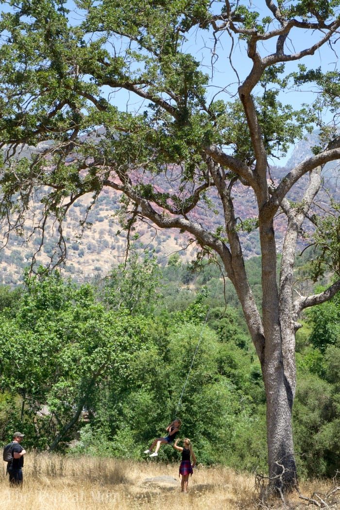Lodging Near Sequoia National Park