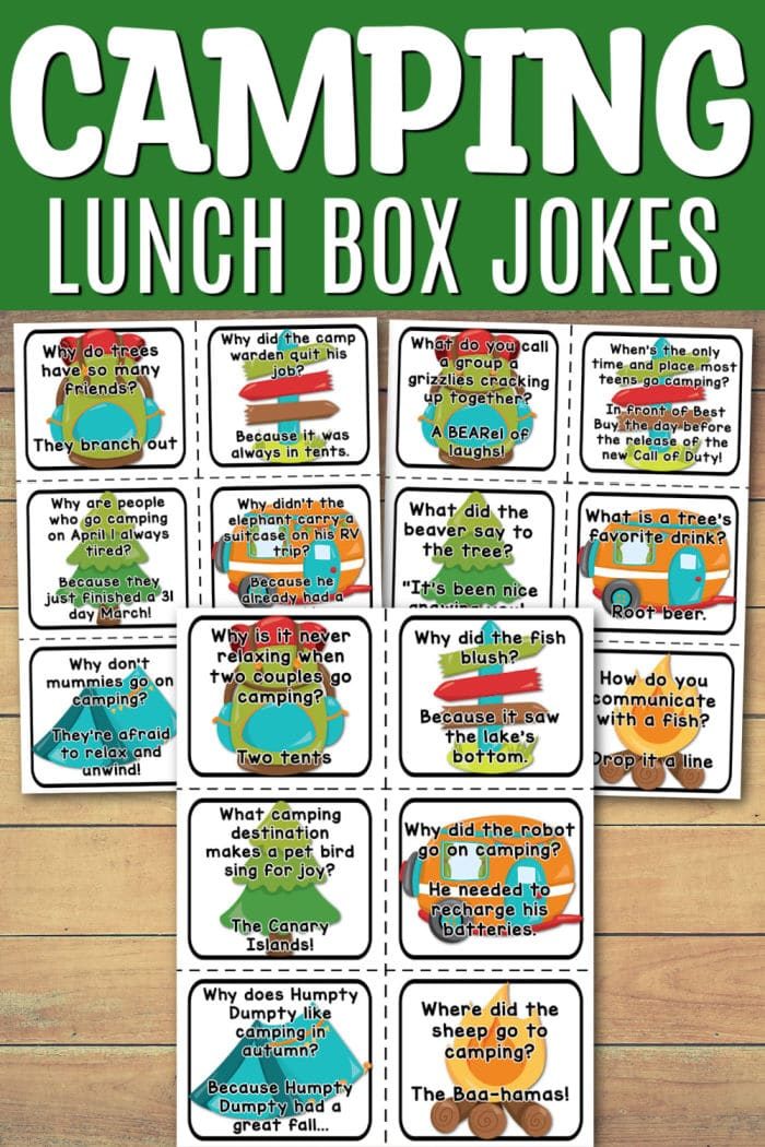 Lunch Box Jokes for Kids