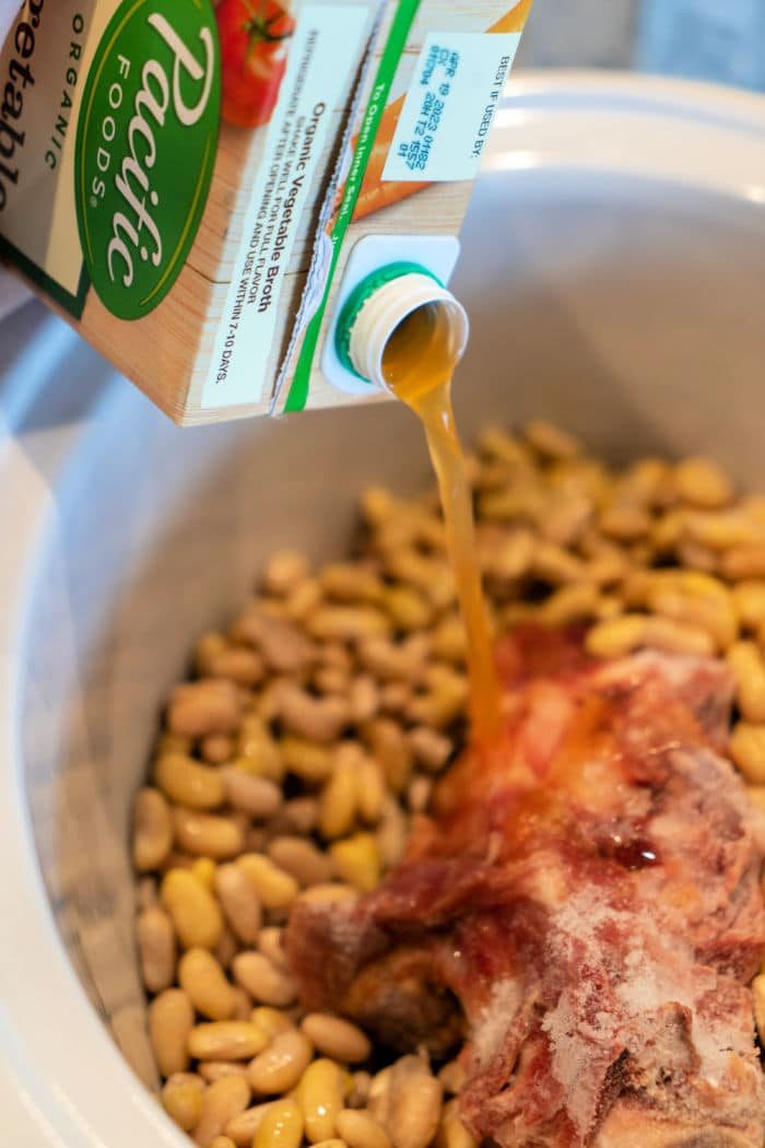 What are Mayocoba Beans
