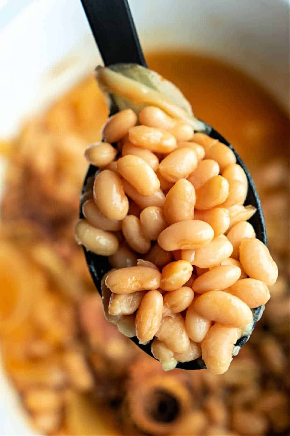 Mayocoba Beans