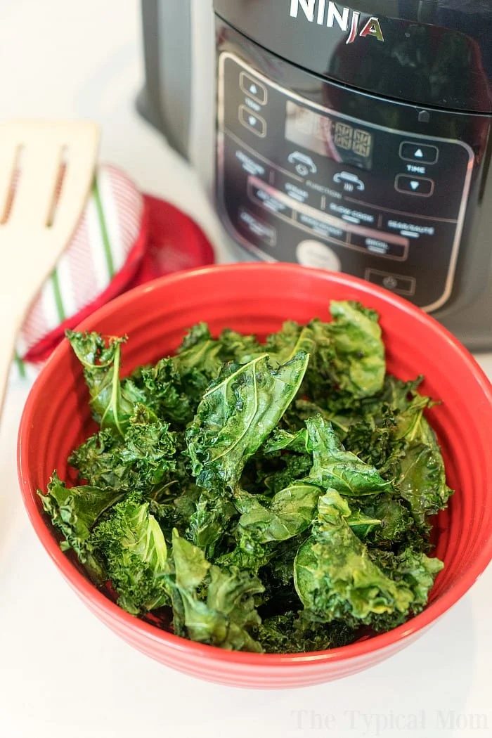 Air Fryer Ninja Foodi Kale Chips
