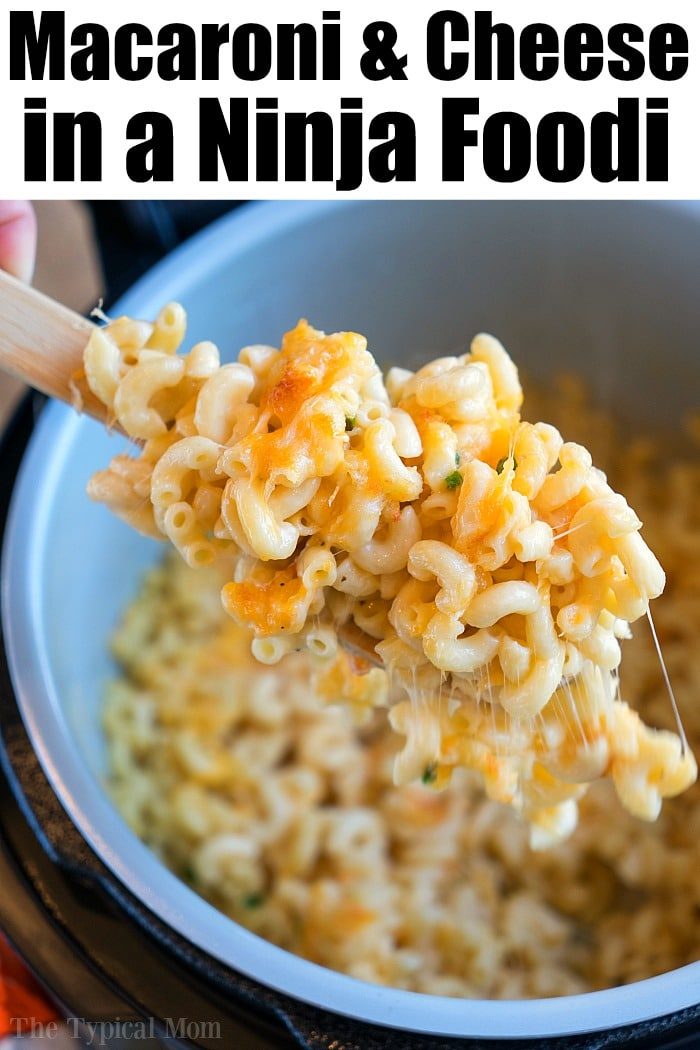 ninja foodi macaroni and cheese