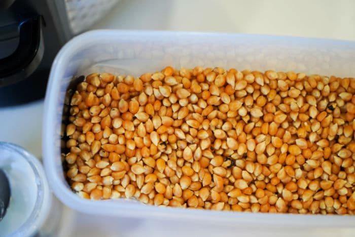 popcorn kernels
