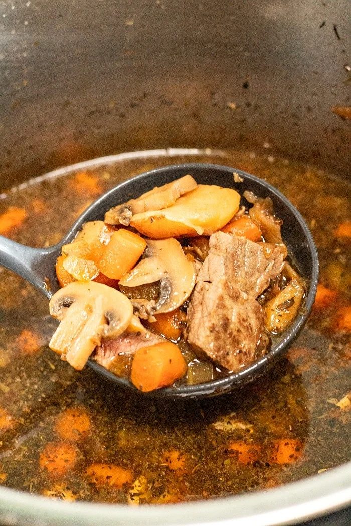 ninja foodi soup