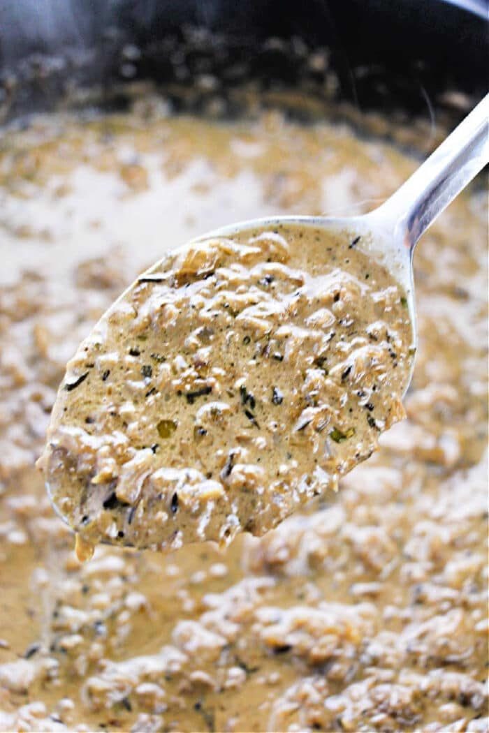 A spoon holding creamy, herbed mushroom sauce—solid for adding richness to any dish—hovers above a pot of the same sauce. Try pairing it with your favorite onion gravy recipe for extra depth of flavor.