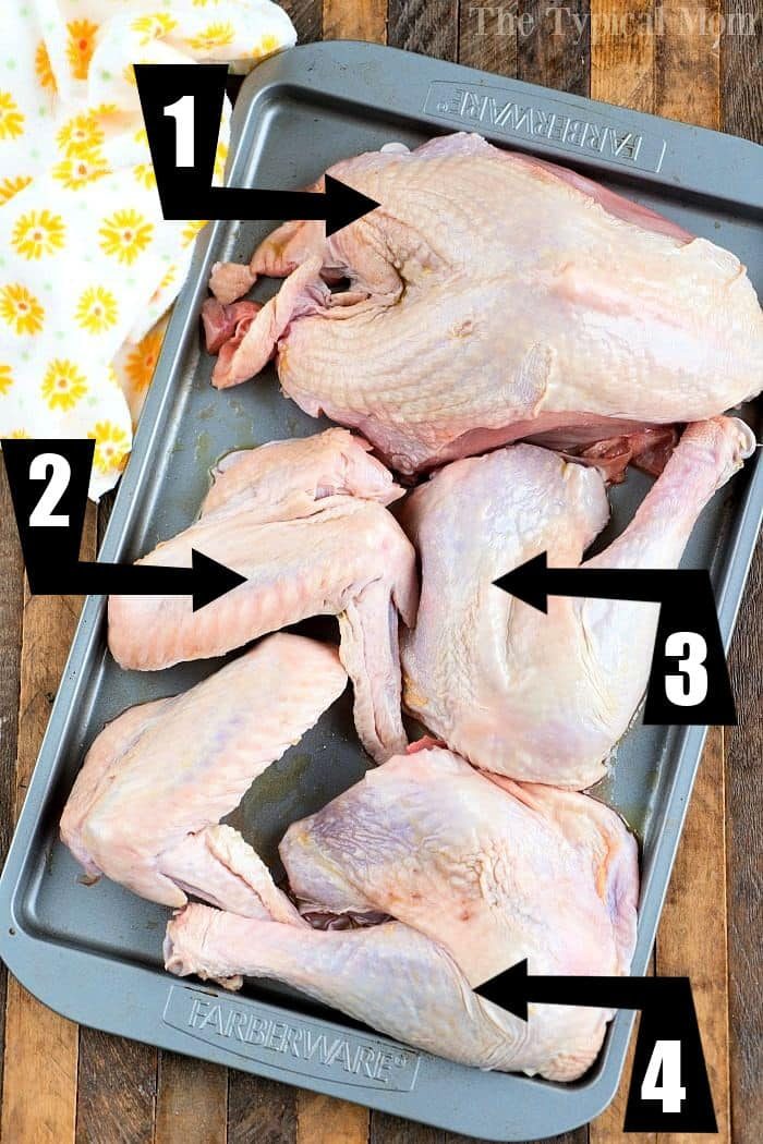 parts of a turkey diagram