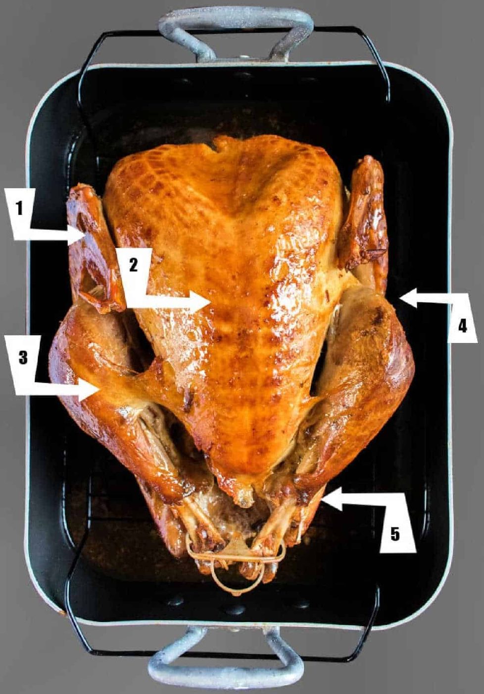 Parts of a Turkey