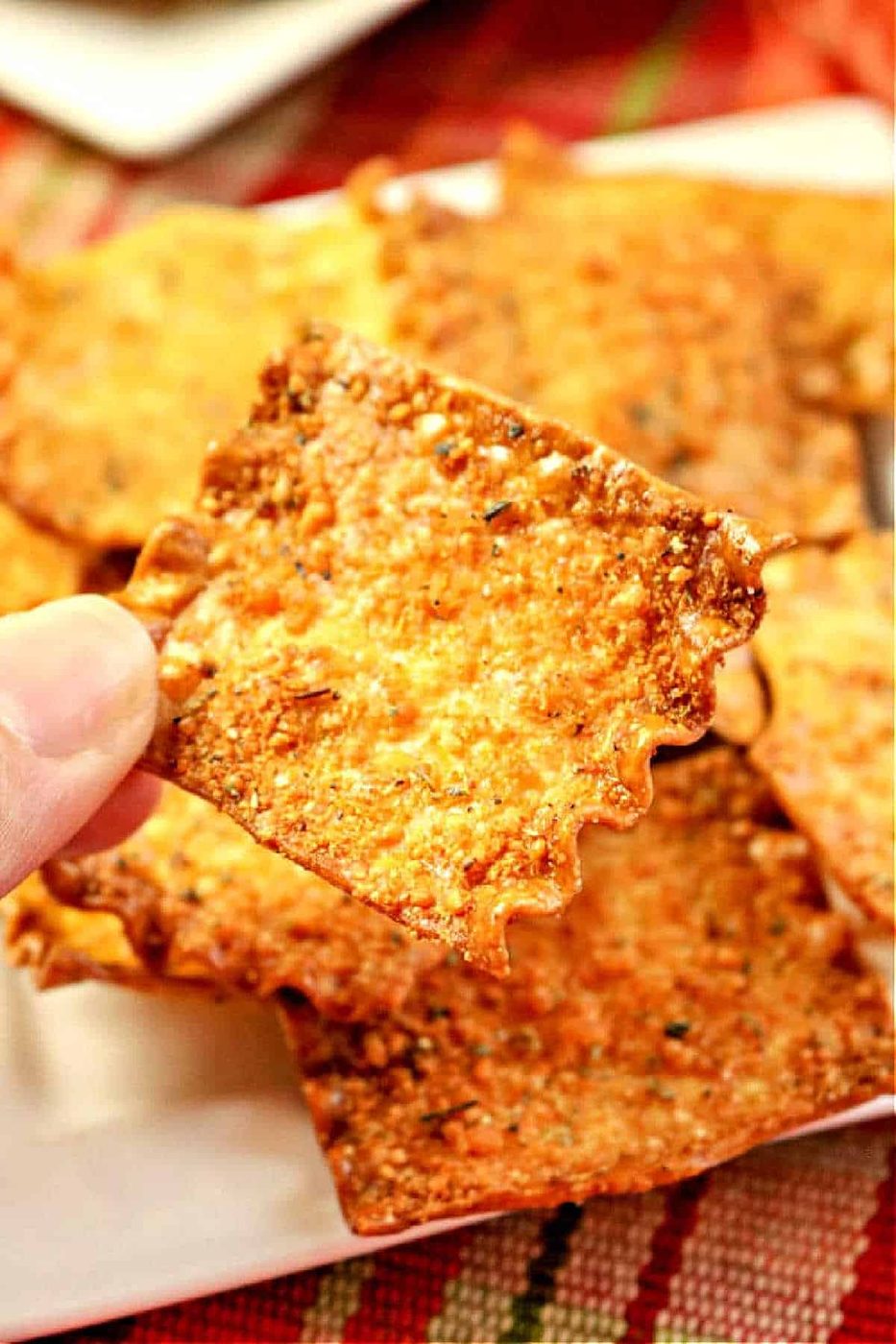 Ninja Foodi Pasta Chips Air Fryer