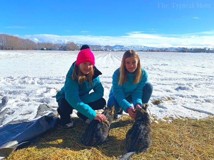 idaho blogger