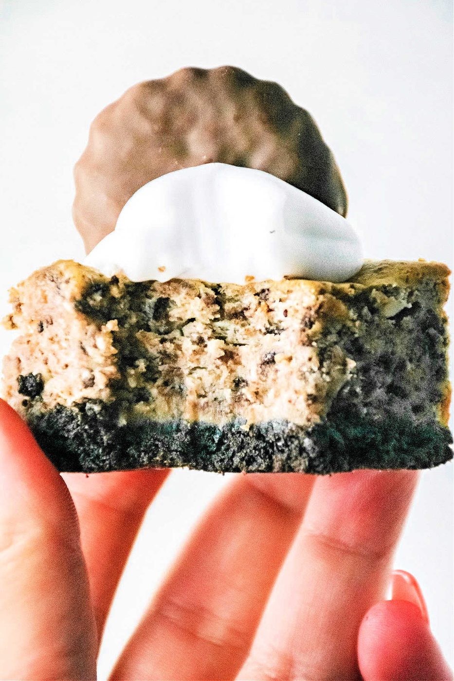 Cheesecake Bars