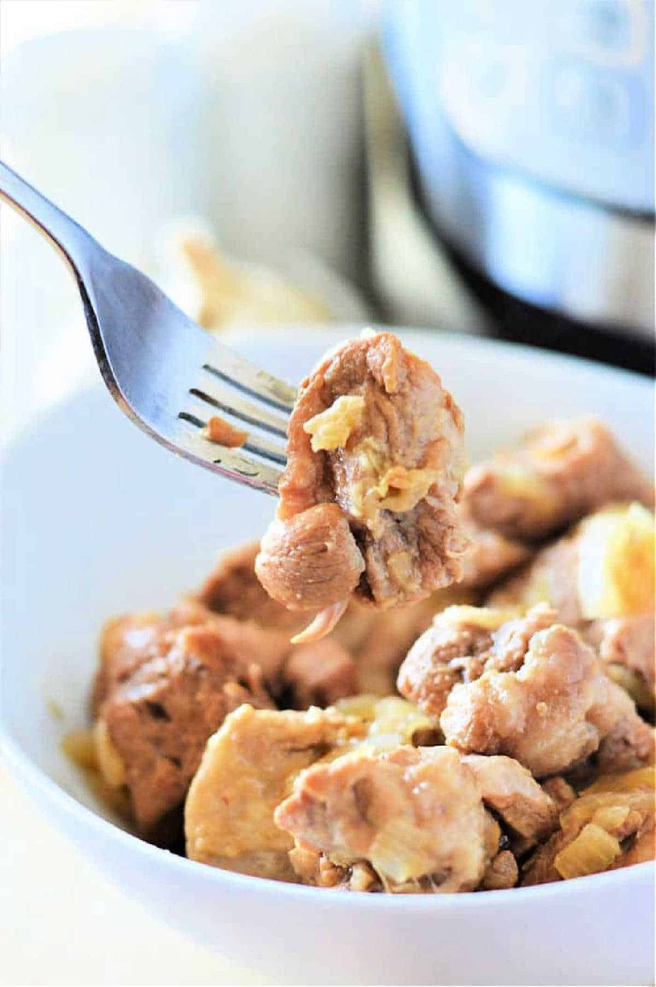 Adobo Pork