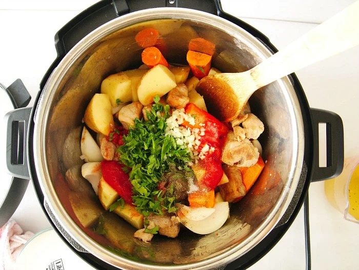 pressure cooker pork stew