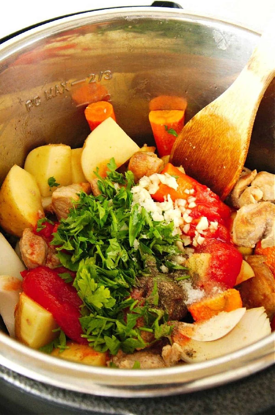 Pork Stew Instant Pot