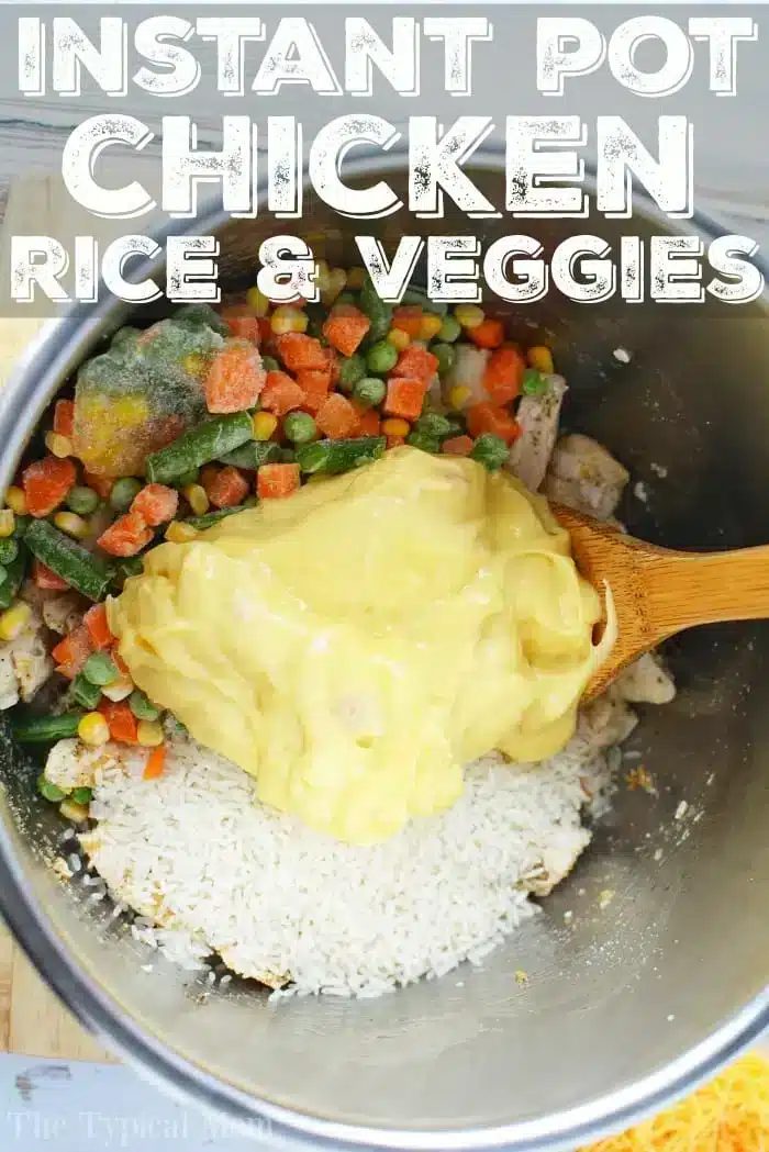 instant pot chicken and rice frozen chicken