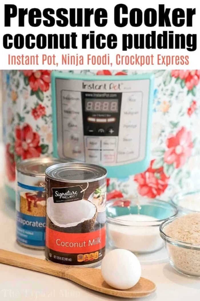 Cans of coconut milk and evaporated milk, egg, rice, and Instant Pot for a good pressure cooker coconut rice pudding recipe.