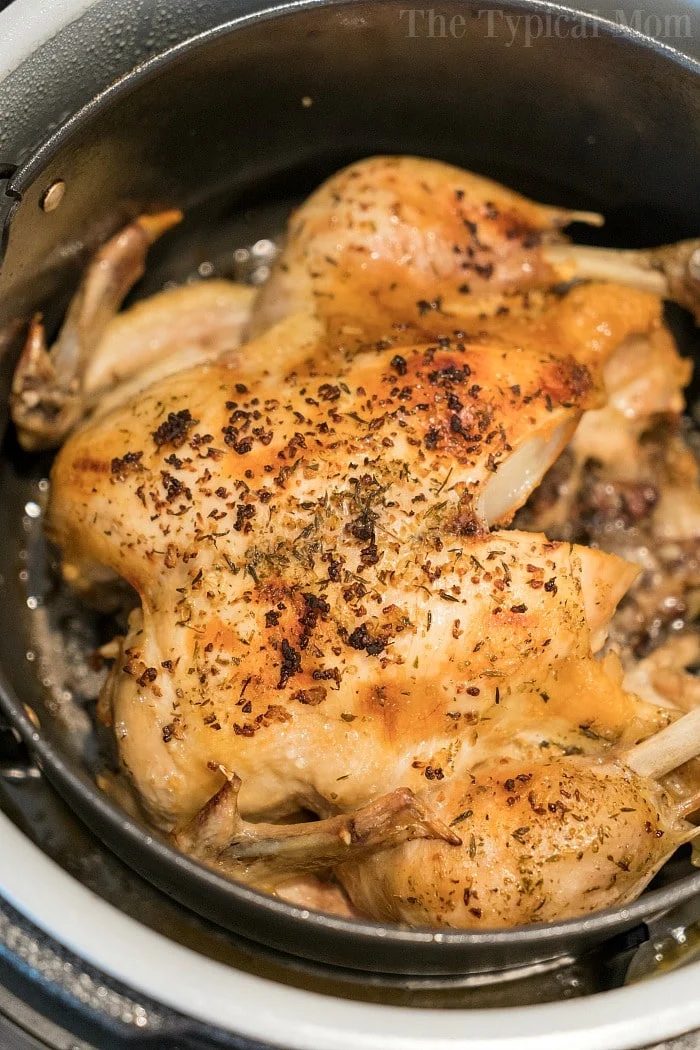 A whole roasted chicken with crispy, golden-brown skin and a sprinkle of herbs sits inside a Ninja Foodi. The chicken is evenly cooked, its skin slightly glistening, showcasing this good Ninja Foodi chicken recipe as freshly prepared perfection.