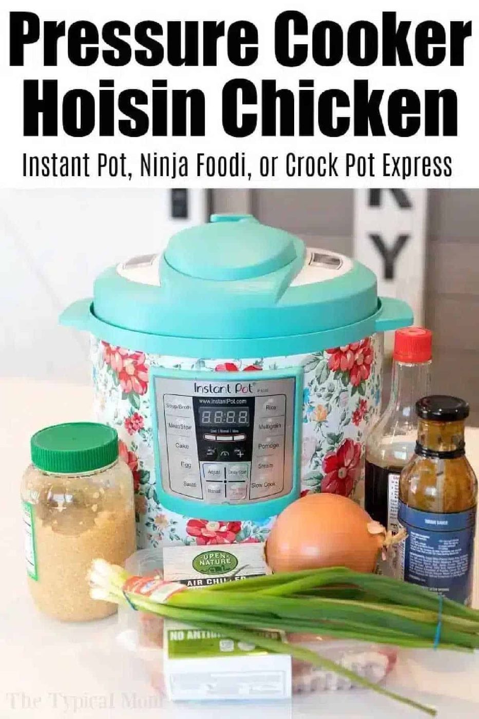 A floral Instant Pot solid for making hoisin chicken, featuring ingredients like garlic, hoisin sauce, green onions, and oil.