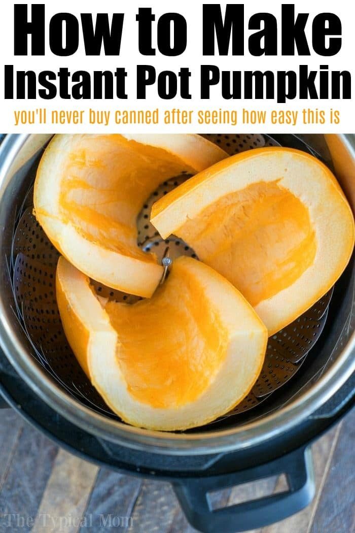 instant pot pumpkin