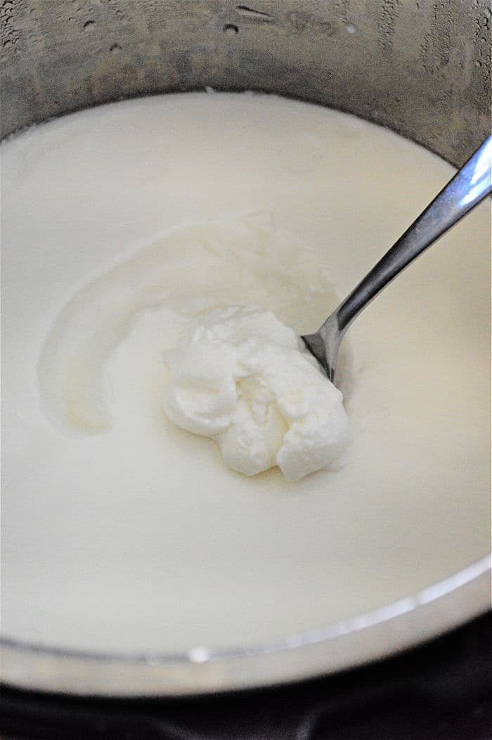 yogurt ninja foodi