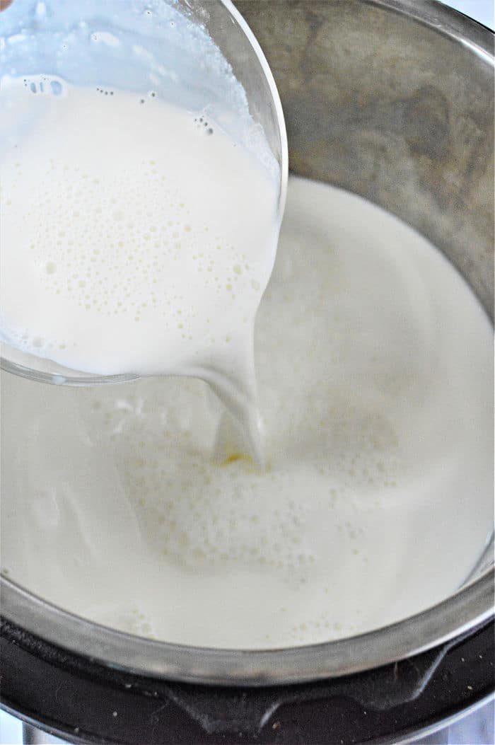 ninja foodi yogurt