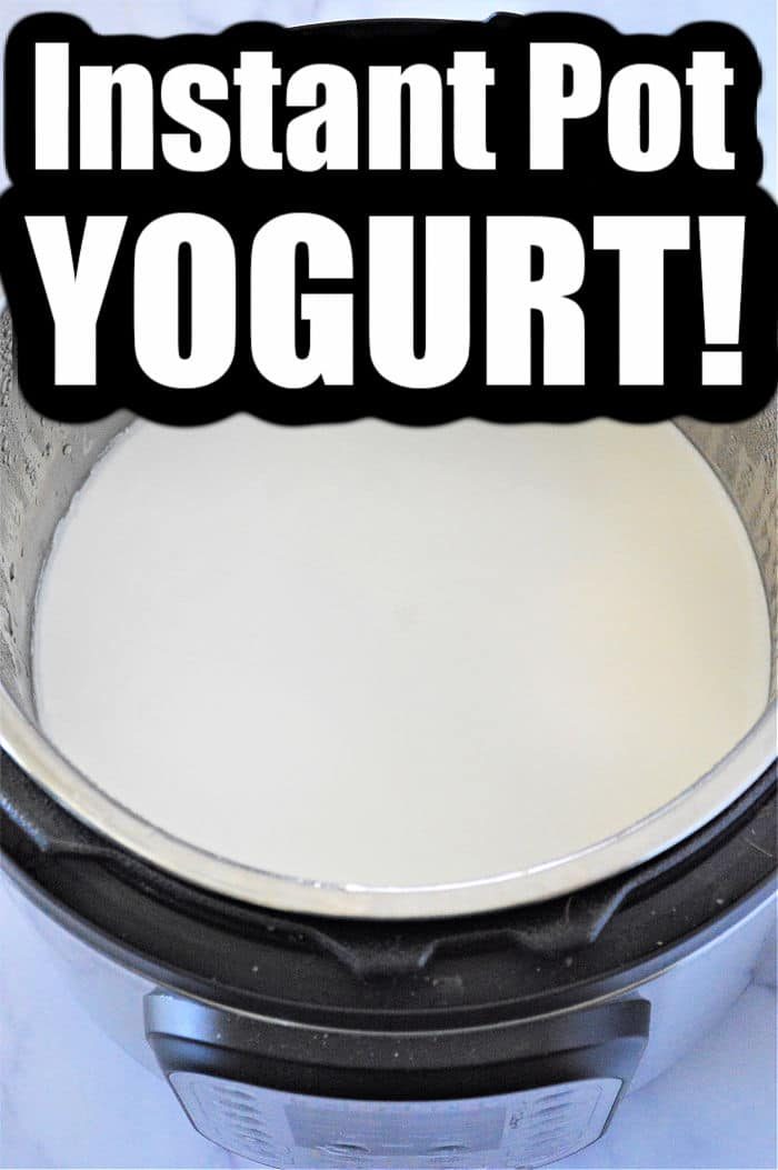 pressure cooker yogurt recipe