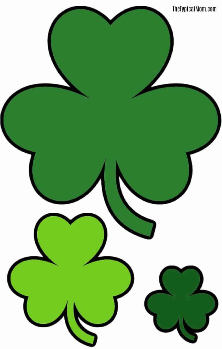 Free Printable Shamrock Coloring Pages