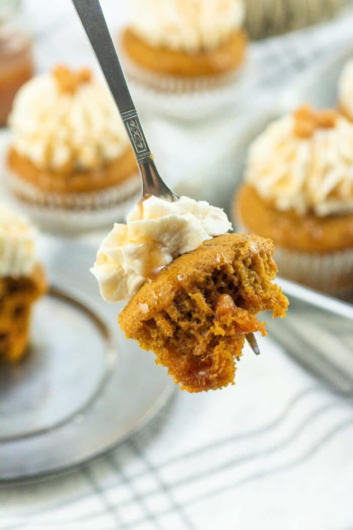 Cupcakes with Canned Pumpkin