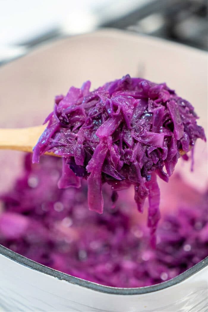 Red Cabbage Recipes