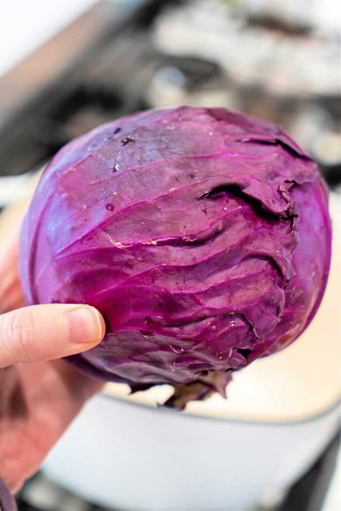 Purple Cabbage Recipes