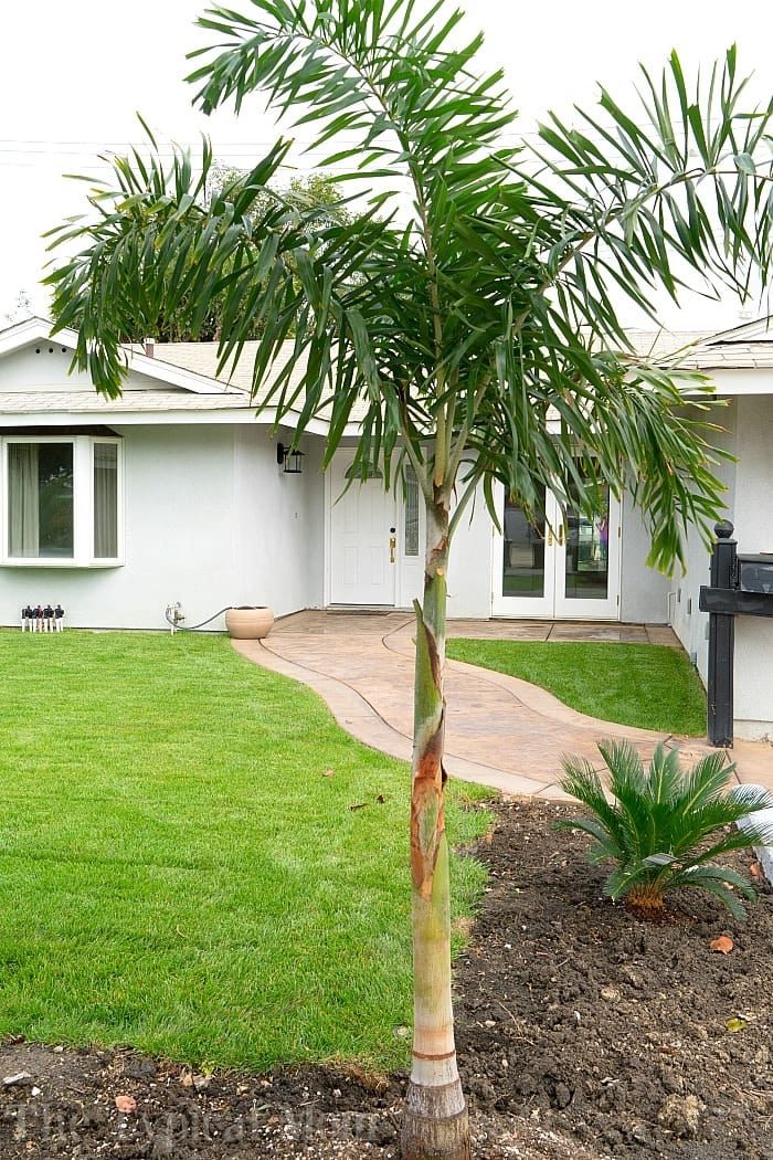 Steps to Take When Renting Out Your Home