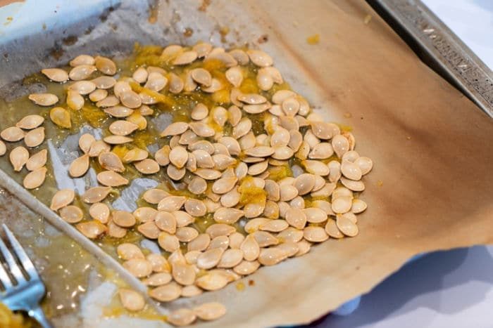 roasted squash seeds