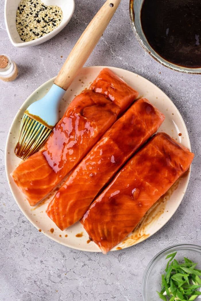 Toaster Oven Fish