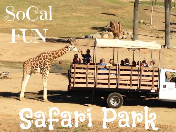 A giraffe approaches a safari truck filled with people sitting on benches at a safari park. The truck is parked on a dirt path with a grassy landscape in the background. "SoCal FUN Safari Park" and "San Diego Safari Park" are written in large white text at the top and bottom of the image.