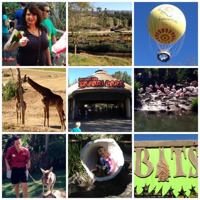 Wild Animal Safari Park Review