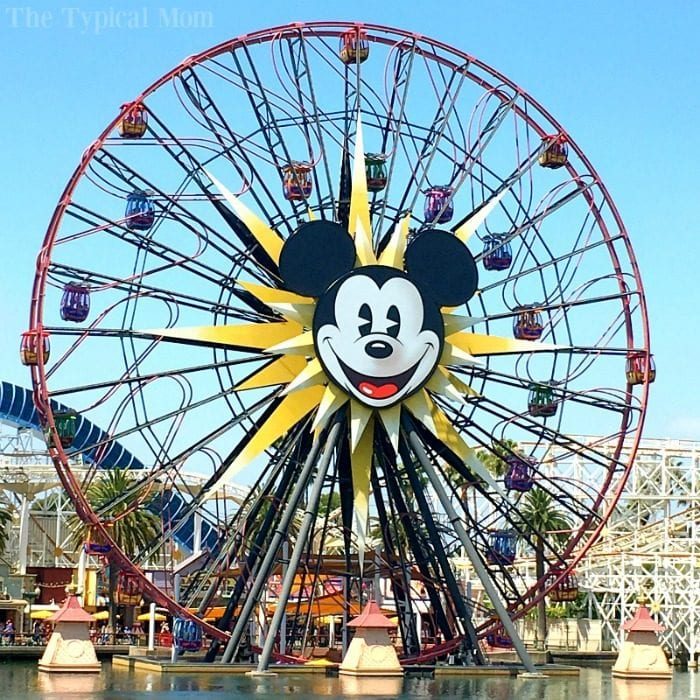 How to Eat for Free at Disneyland 3