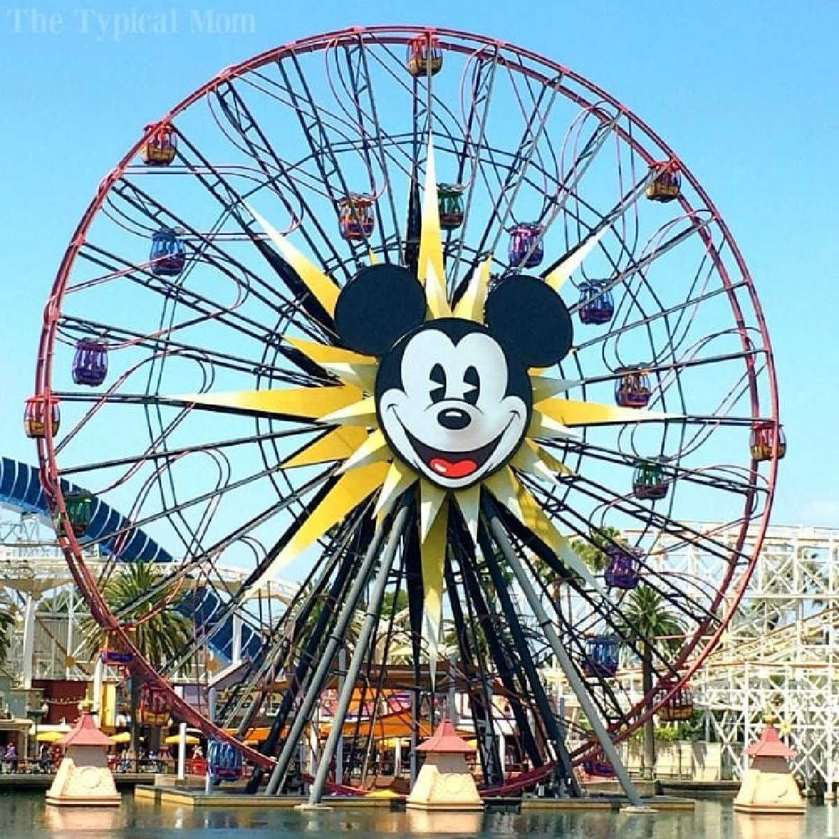 Save Money at Disneyland