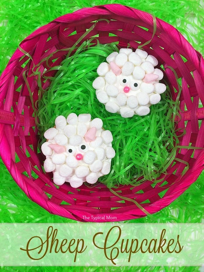 sheep cupcakes