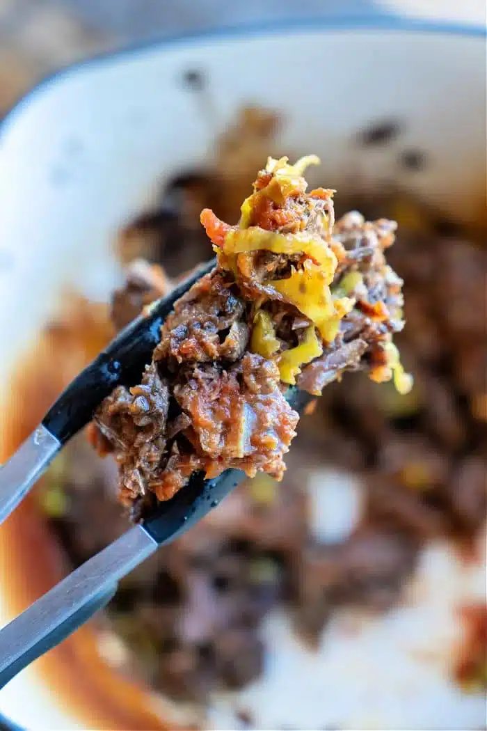 Shredded Beef From Frozen