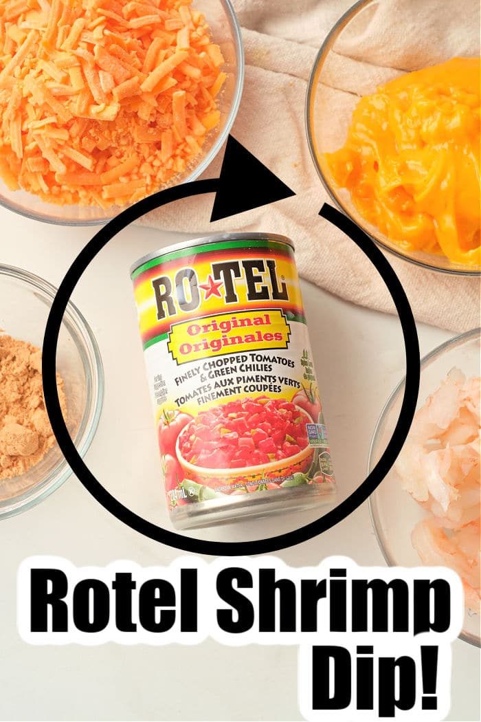 Rotel shrimp Dip