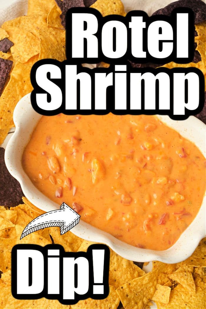 cheesy rotel dip