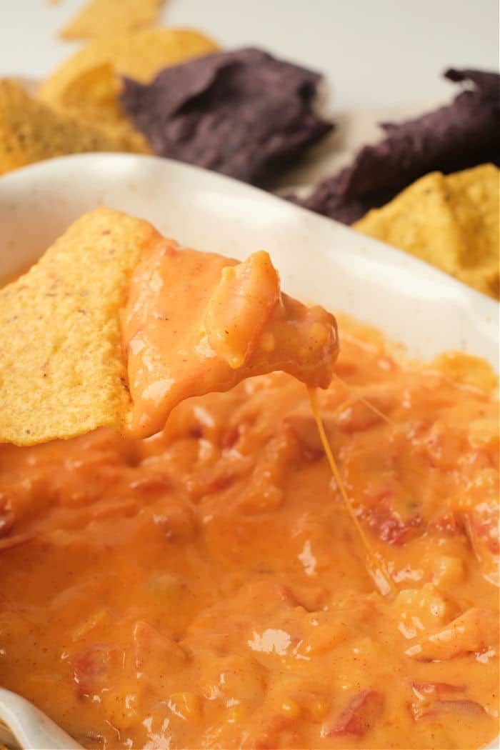 rotel dip with shrimp