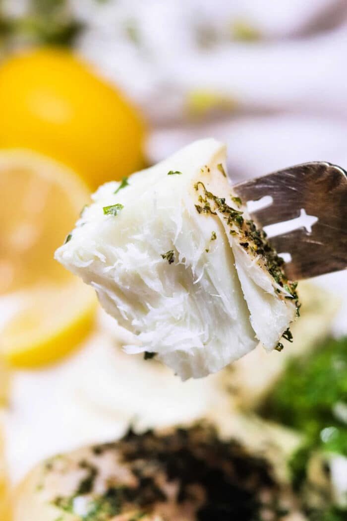 Smoked Halibut