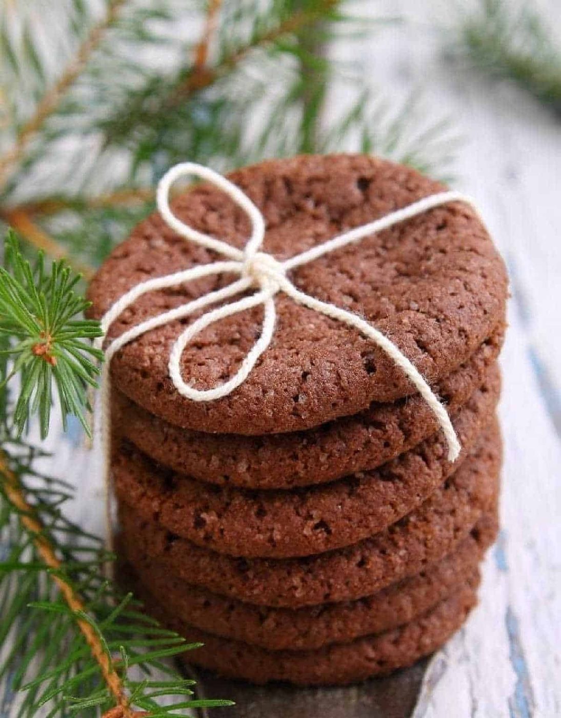 Snickerdoodle Hot Chocolate Cookies