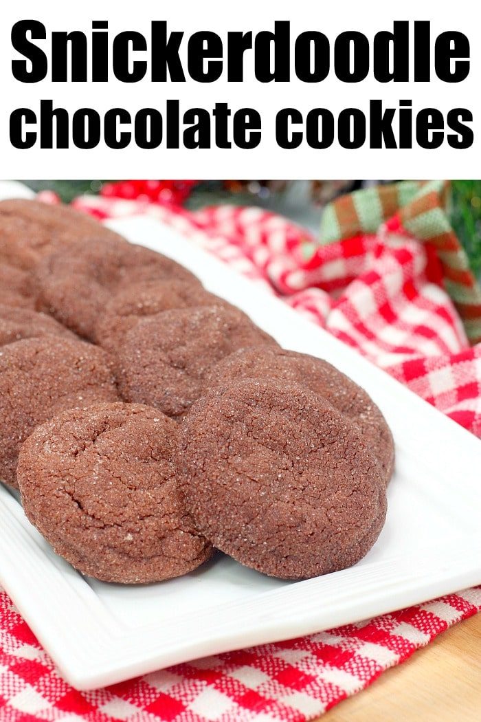 Snickerdoodle Hot Chocolate cookies