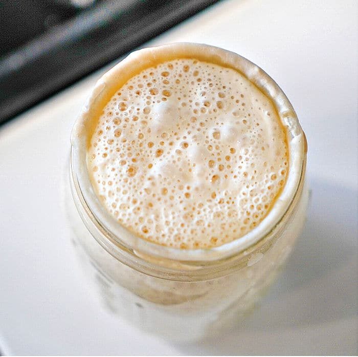 Sourdough Starter