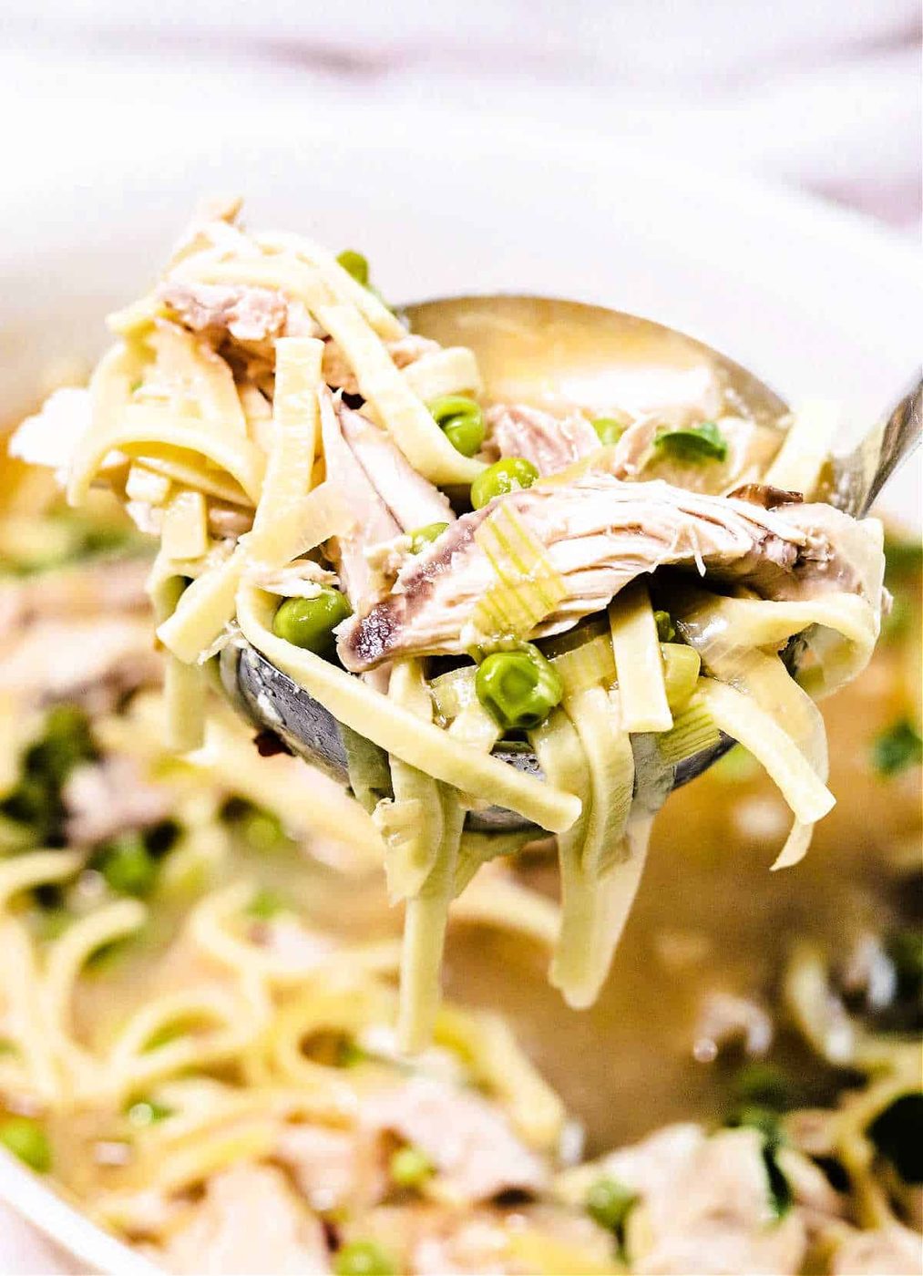 Spicy Chicken Noodle Soup