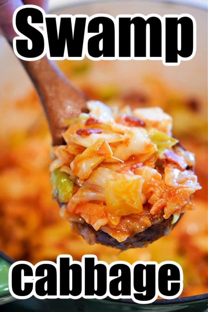 Swamp Cabbage