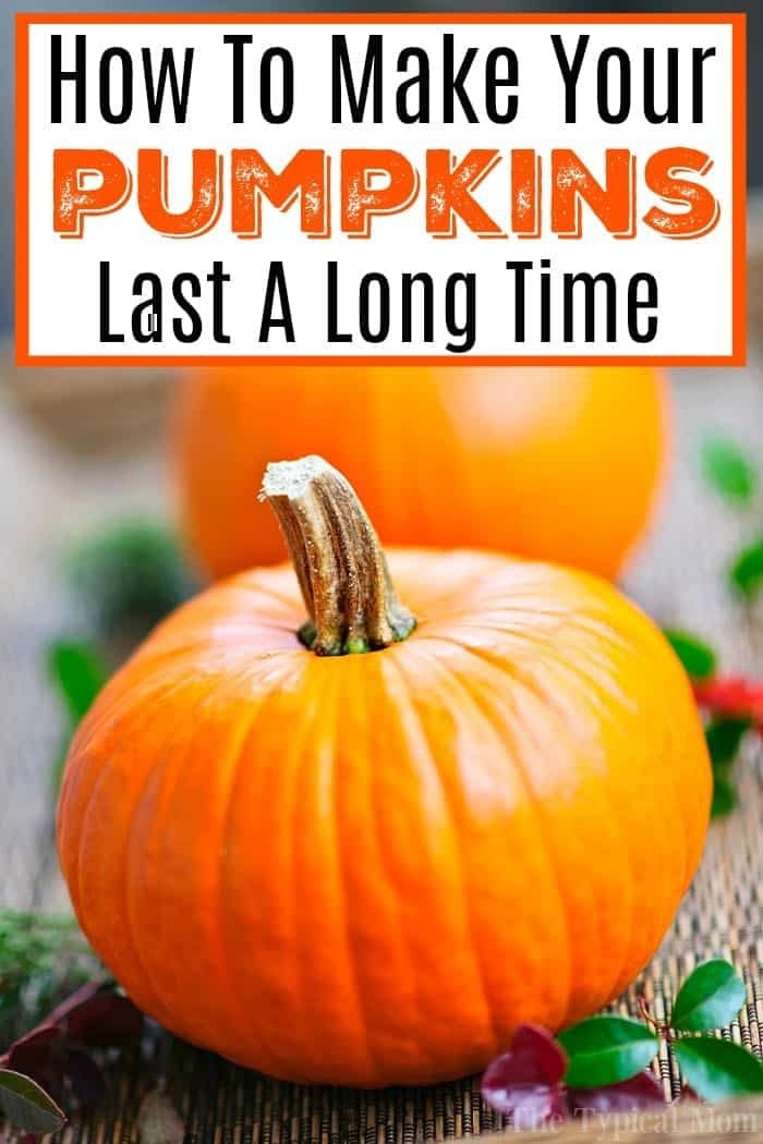 Keep Pumpkins from Rotting on Porch